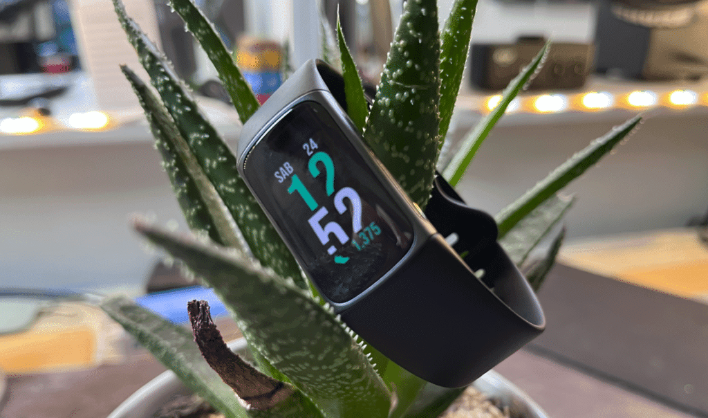 Fitbit Charge5