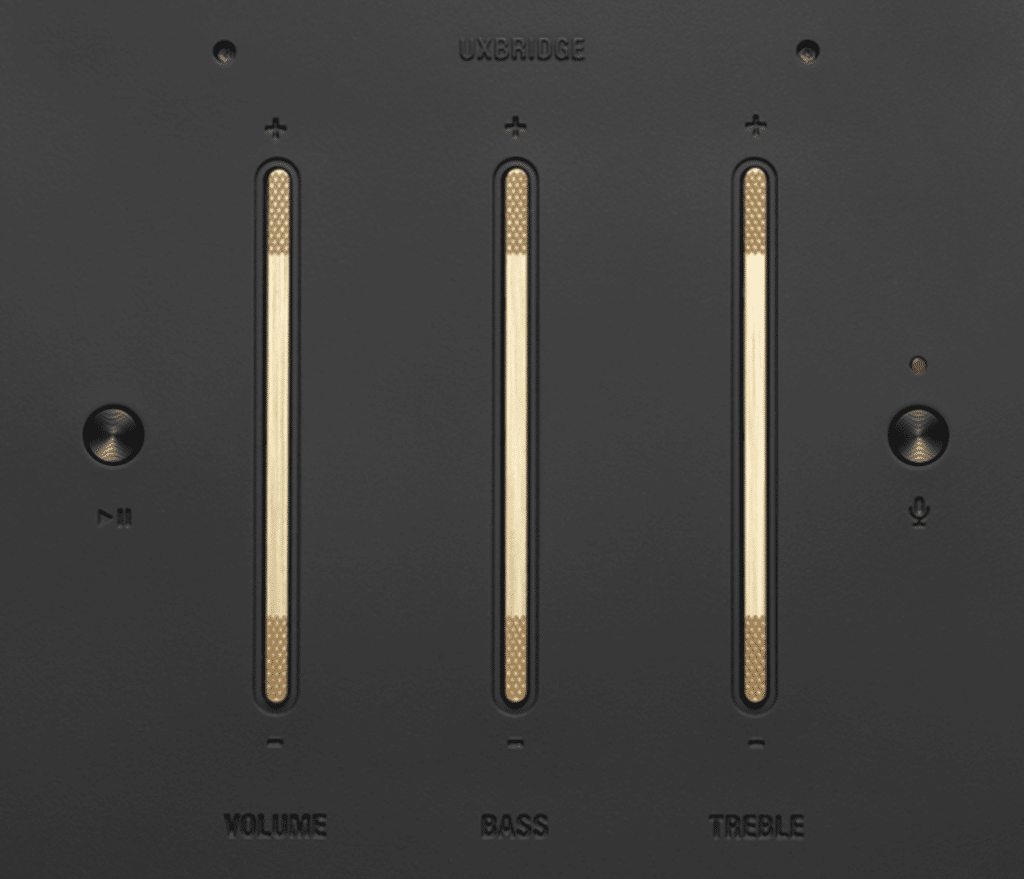 Marshall Uxbridge Voice Controles