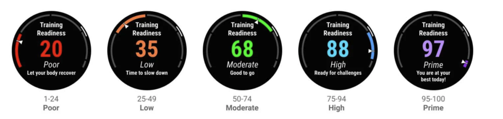 Garmin Fenix 8 51 mm
